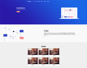 企业品牌站，高收录，大量业务词在首页